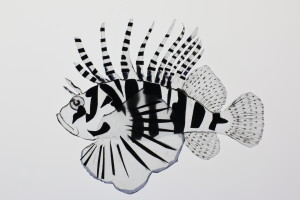 peixe Animafro