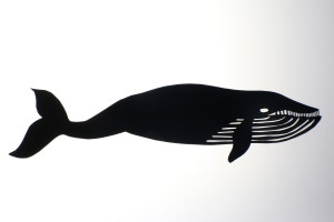 baleia Animafro